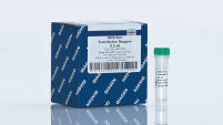HiPerFect Transfection Reagent