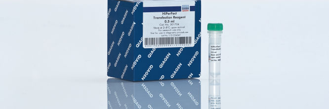 HiPerFect Transfection Reagent