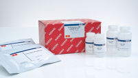 TurboCapture mRNA Kits for Cell Lysates