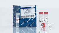 Taq PCR Master Mix Kit