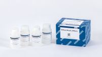 QIAseq Beads (400mL)