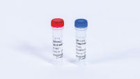 T7 RNA Polymerase (50,000 U)