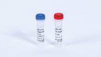 T7 DNA Polymerase