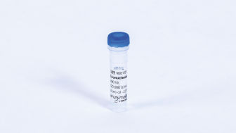 Exonuclease I (30,000 U)