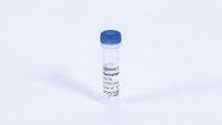 Thermostable Pyrophosphatase
