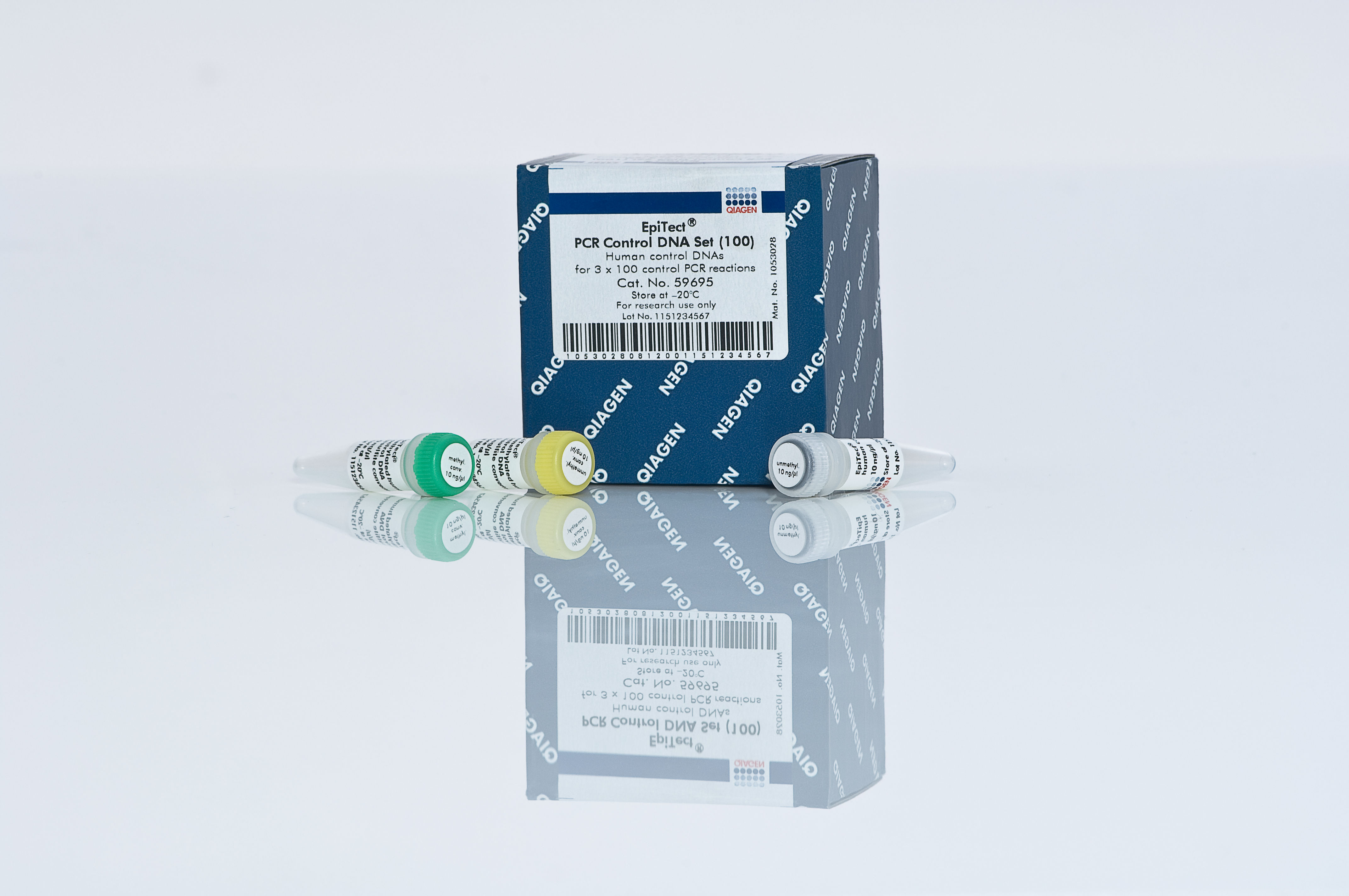 LDD リザレクションマゴット AIR JORDAN 1 MID SNEAKER SCHOOL / エア ジョーダン 1 MID