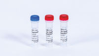 Thermolabile UDG