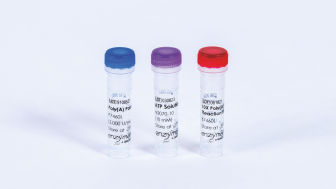 Poly(A) Polymerase (1000 U)