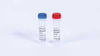 Endonuclease VIII