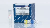 EpiTect Whole Bisulfitome Kit