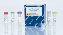 REPLI-g Mini Kit (25)