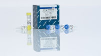 REPLI-g FFPE Kit