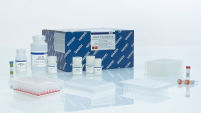 EpiTect 96 Bisulfite Kit (2)