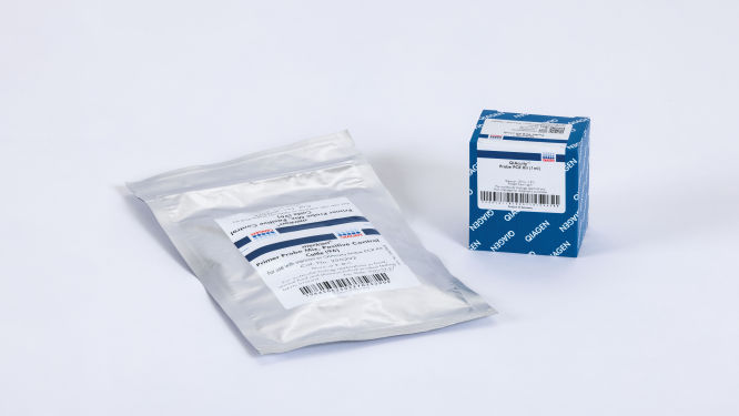 にぬS トリックスター / Ninja ZX-4R SE/4RR（24-26）政府認証ダウンフル