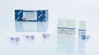 MinElute Reaction Cleanup Kit