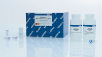 QIAquick PCR Purification Kit for PCR Cleanup