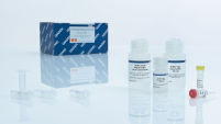 QuickLyse Miniprep Kit for Plasmid DNA Extraction