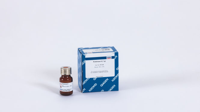S_1351_3_LS_OEM_Proteinase_K_1g