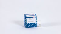 Proteinase K - Solution (1 mL)