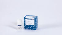 Proteinase K - Solution (5 mL)