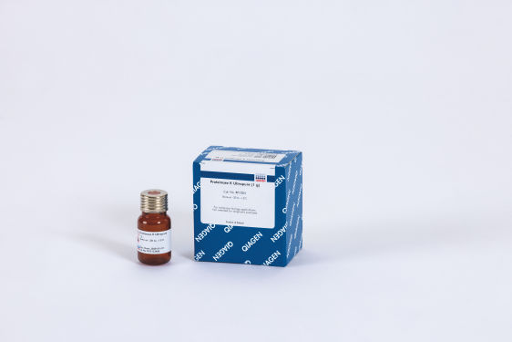 S_1353_1_LS_OEM_Proteinase_K_Ultrapure_1_g