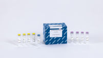 Stoffel DNA Polymerase (1000 U)