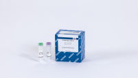 Tth DNA Ligase (250 U)