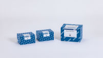 QIAseq xHYB Microbial Hyb Kit (24)