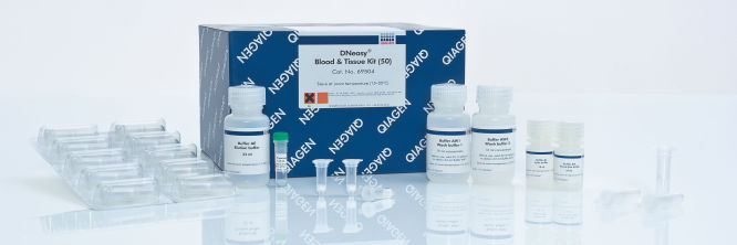 DNeasy Blood & Tissue Kits | DNA精製 | QIAGEN