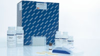 DNeasy 96 Blood & Tissue Kit (12)
