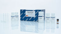 Blood & Cell Culture DNA Kits