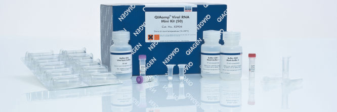 プラズマ QIAamp Viral RNA Kits | Viral RNA Isolation | QIAGEN