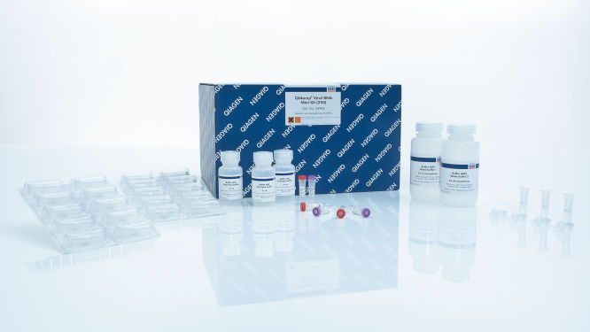 プラズマ QIAamp Viral RNA Kits | Viral RNA Isolation | QIAGEN