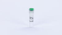 Saltonase (25,000 U)