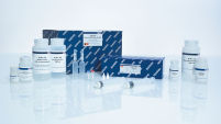 QIAGEN Plasmid Plus Kits – Plasmid DNA Extraction