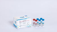 IDNAPTEX ESR1
