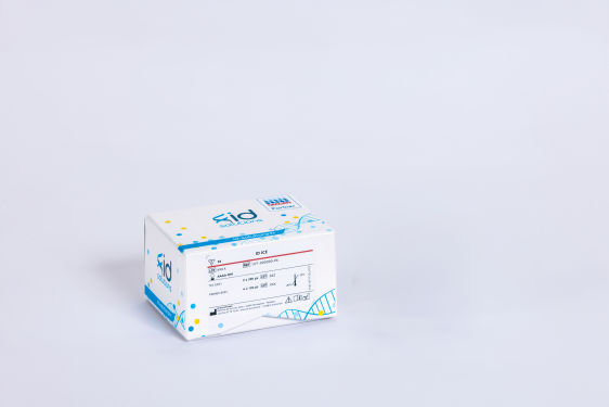 QIAcuity High Multiplex Probe PCR Kit