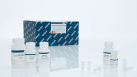 QIAamp DNA Micro Kit (50)
