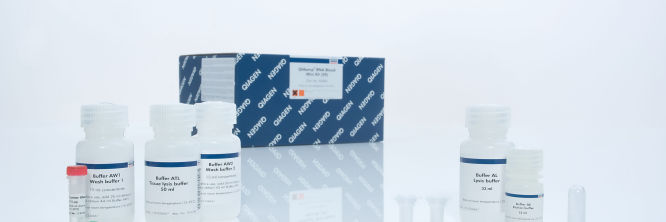QIAamp RNA Blood Mini Kit