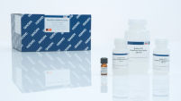 FlexiGene DNA Kit (250)