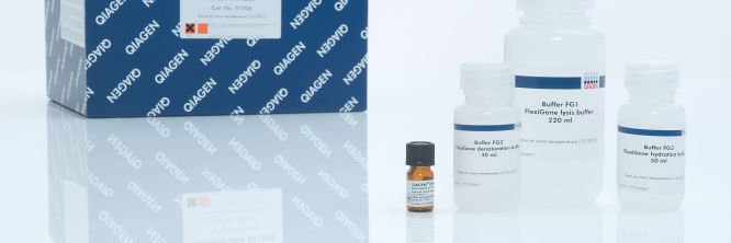 FlexiGene DNA Kit