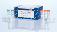 PyroMark PCR Kit (200)
