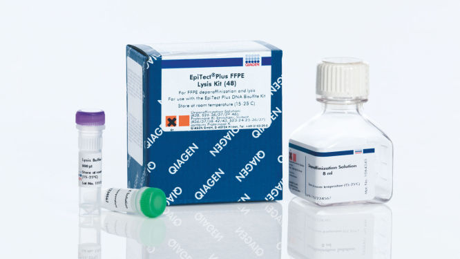 épi plus TBC セット 2_15_IntroductionImage.jpg