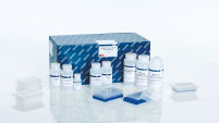 QIAGEN Plasmid Plus 96 Miniprep Kit (4)