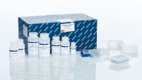 QIAGEN Plasmid Plus 96 Kits