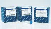 BRAF RGQ PCR Kit