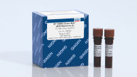 RT2 SYBR® Green qPCR Mastermixes