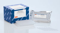 RT2 Profiler PCR Arrays