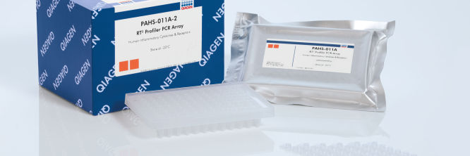 K.K様確認用 RT2 Profiler PCR Arrays