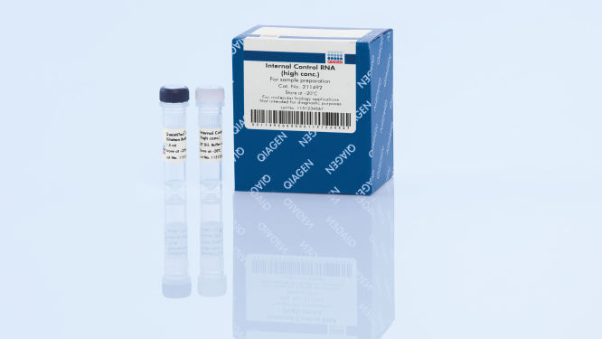 RNeasy Pure mRNA Bead Kit | mRNA Enrichment | QIAGEN